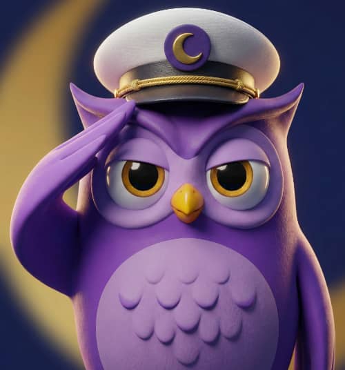 Captain Salute